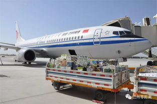巴州2019年農特產品航空貨運專號續(xù)航啟動 高效物流助力特色經濟騰飛